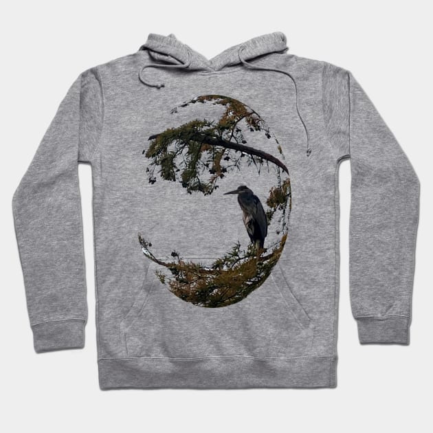 Blue Herron Sitting in Tree Edit Hoodie by Zen Goat 